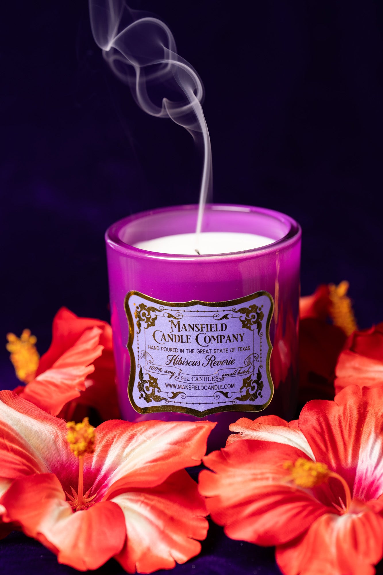 Hibiscus Reverie