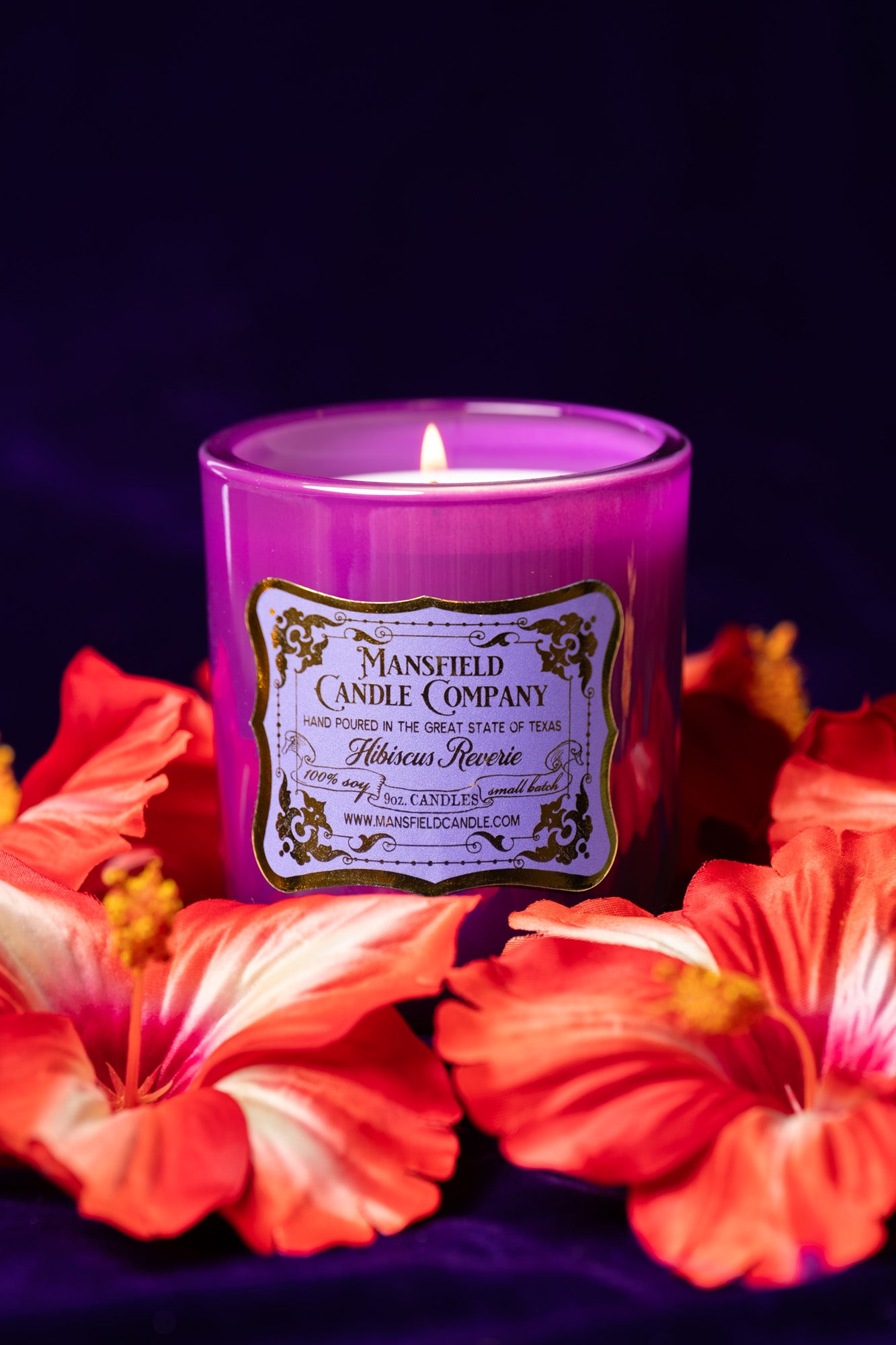 Hibiscus Reverie
